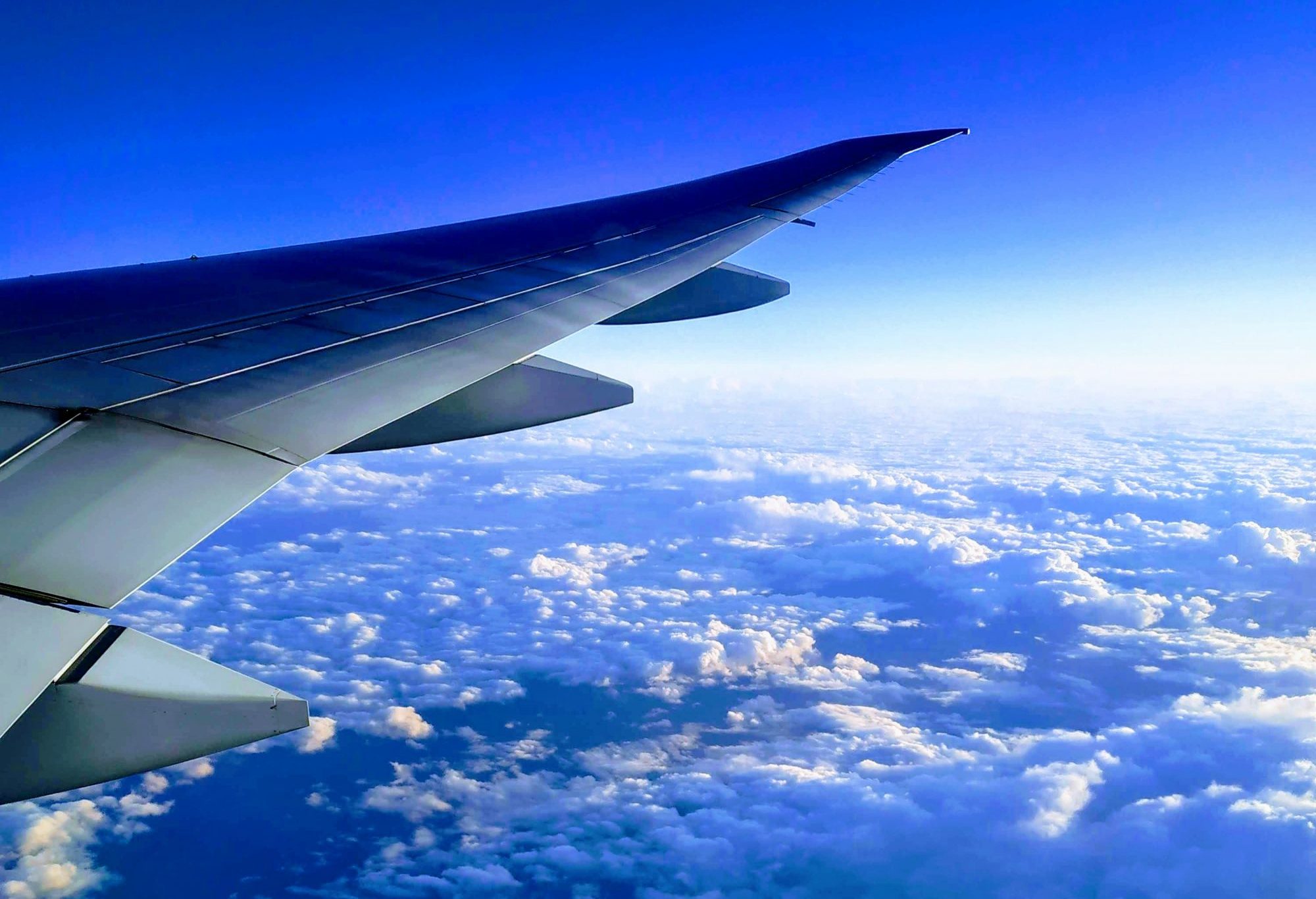 How to Book Your Flight and Find the Best Deals