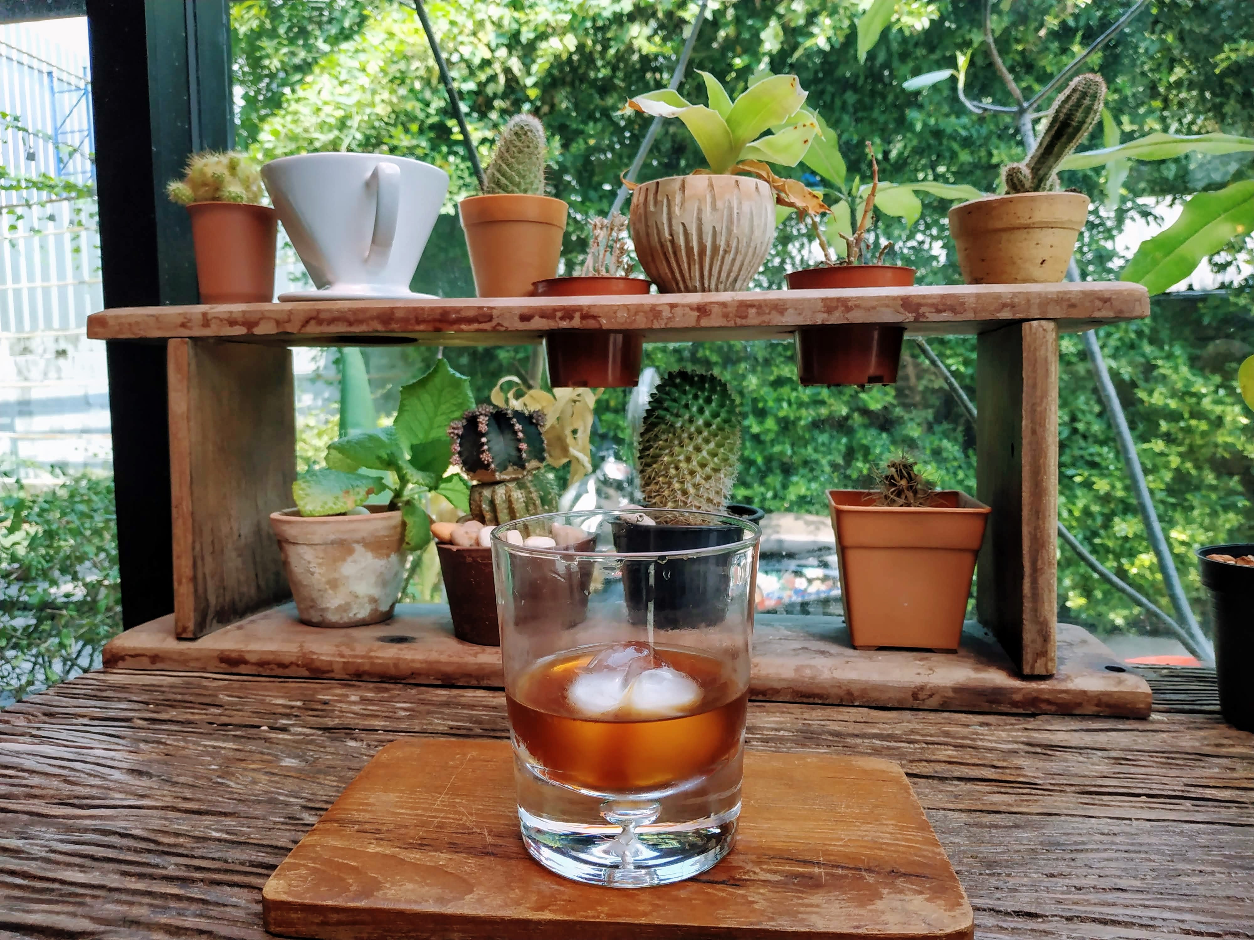 Cold brew coffee and cactus at Stand Alone Coffee bar