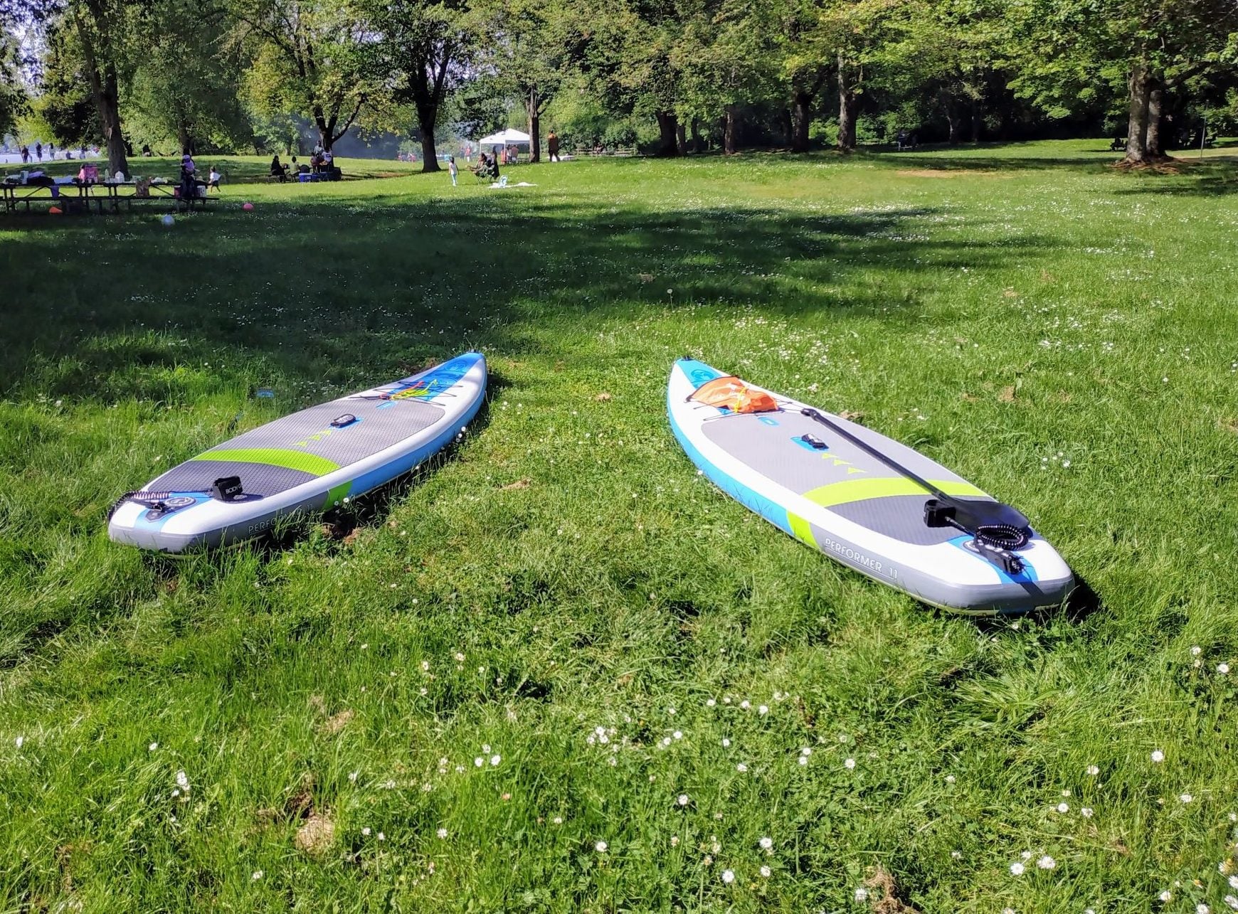 Two SUPs at Lake Sammamish Park on the grass