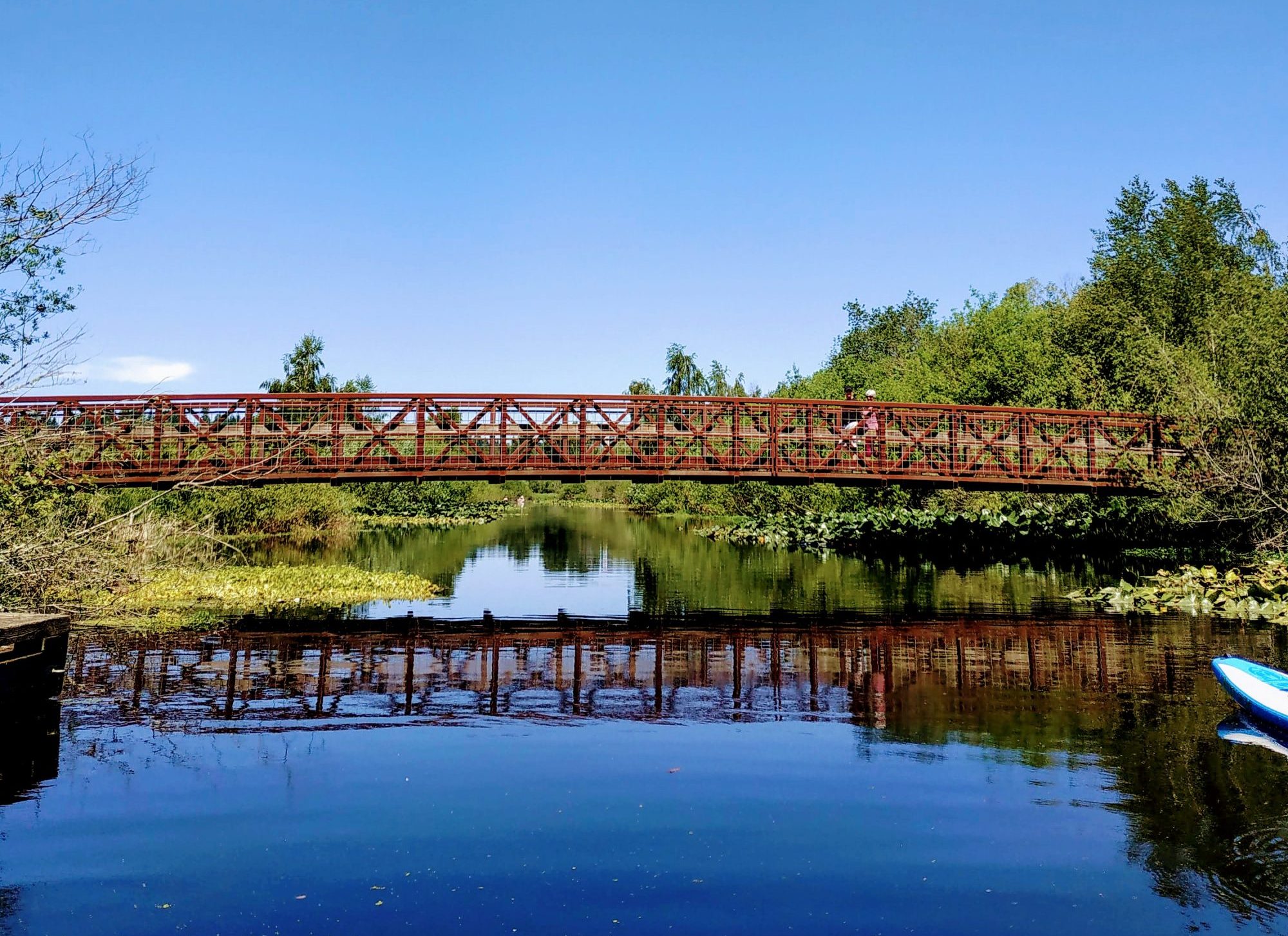 Mercer Slough SUP & Kayak Adventure - Travelffeine