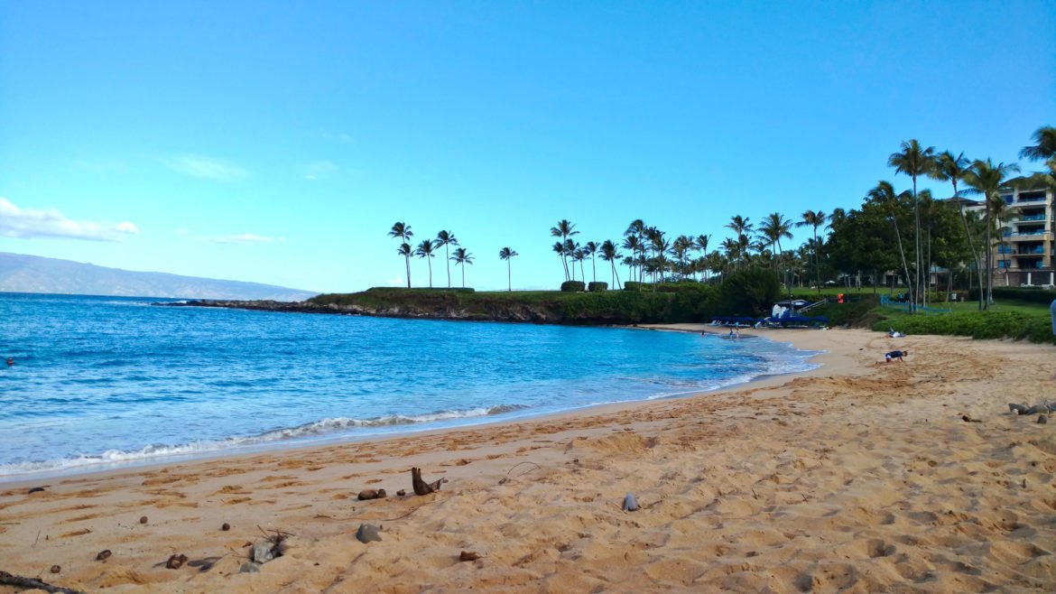 Best Maui Beaches for Snorkeling and Swimming - Travelffeine