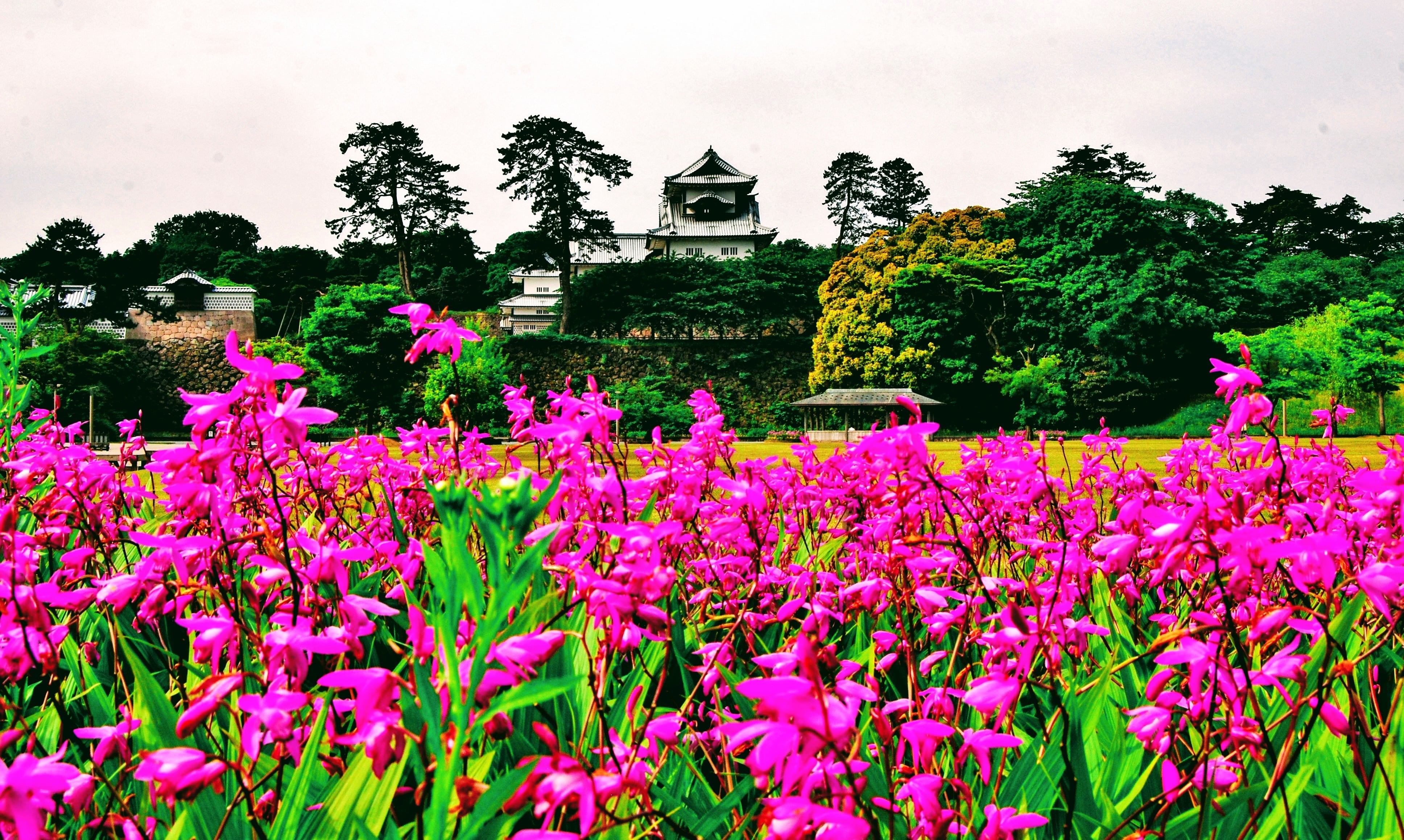 Our Misadventures in Kanazawa, Japan