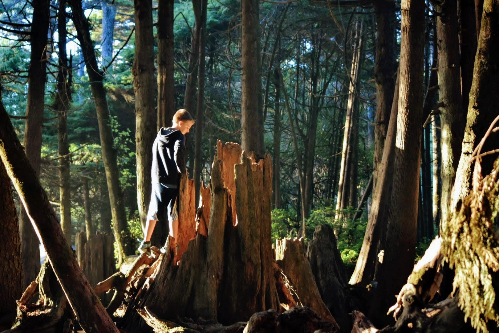 13 Fun Things to do at Kalaloch Campground