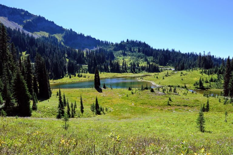 Stunning Naches Peak Trail near Mt Rainier - Travelffeine