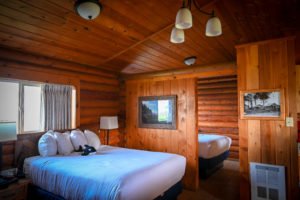 Kalaloch Lodge: An Ocean Getaway Near Seattle - Travelffeine