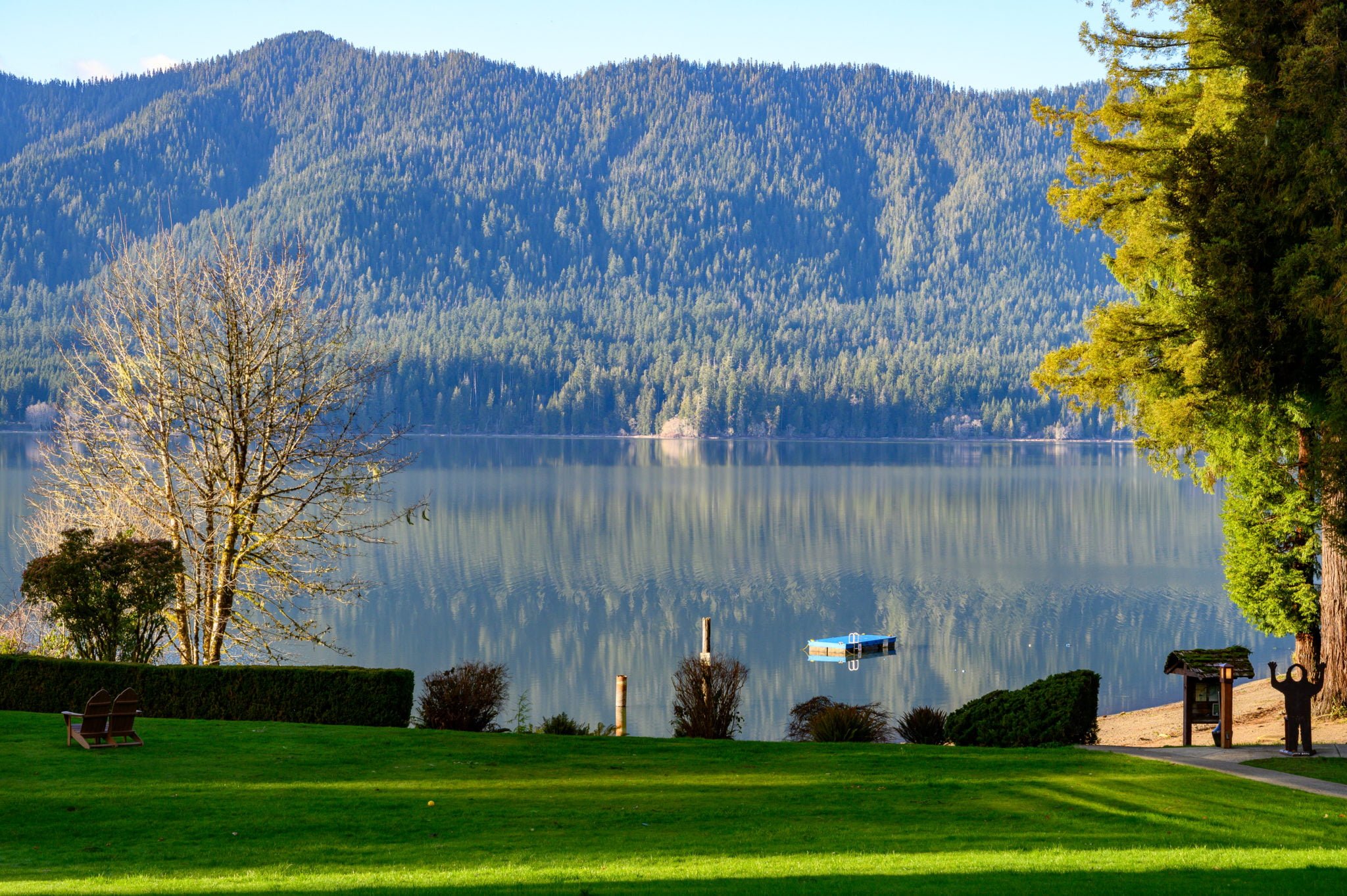 Lake Quinault Lodge: Your Rainforest Retreat - Travelffeine