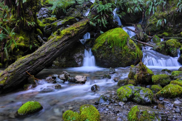 How to Photograph Waterfalls: Top Tips for Beginners - Travelffeine