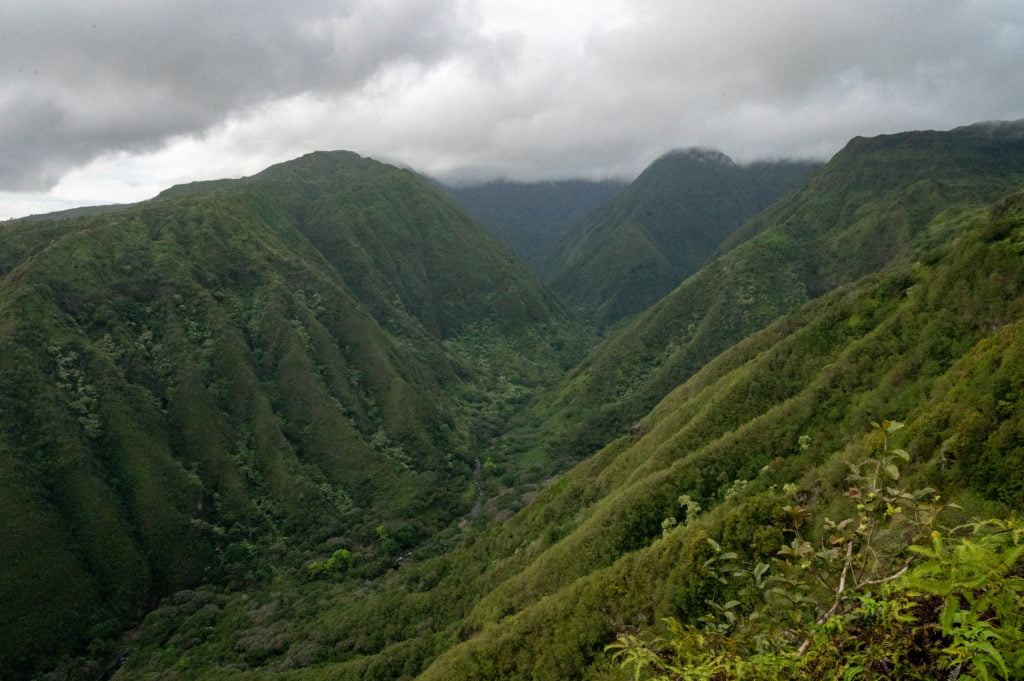 Waihee Ridge Trail: A Local Favorite on Maui - Travelffeine