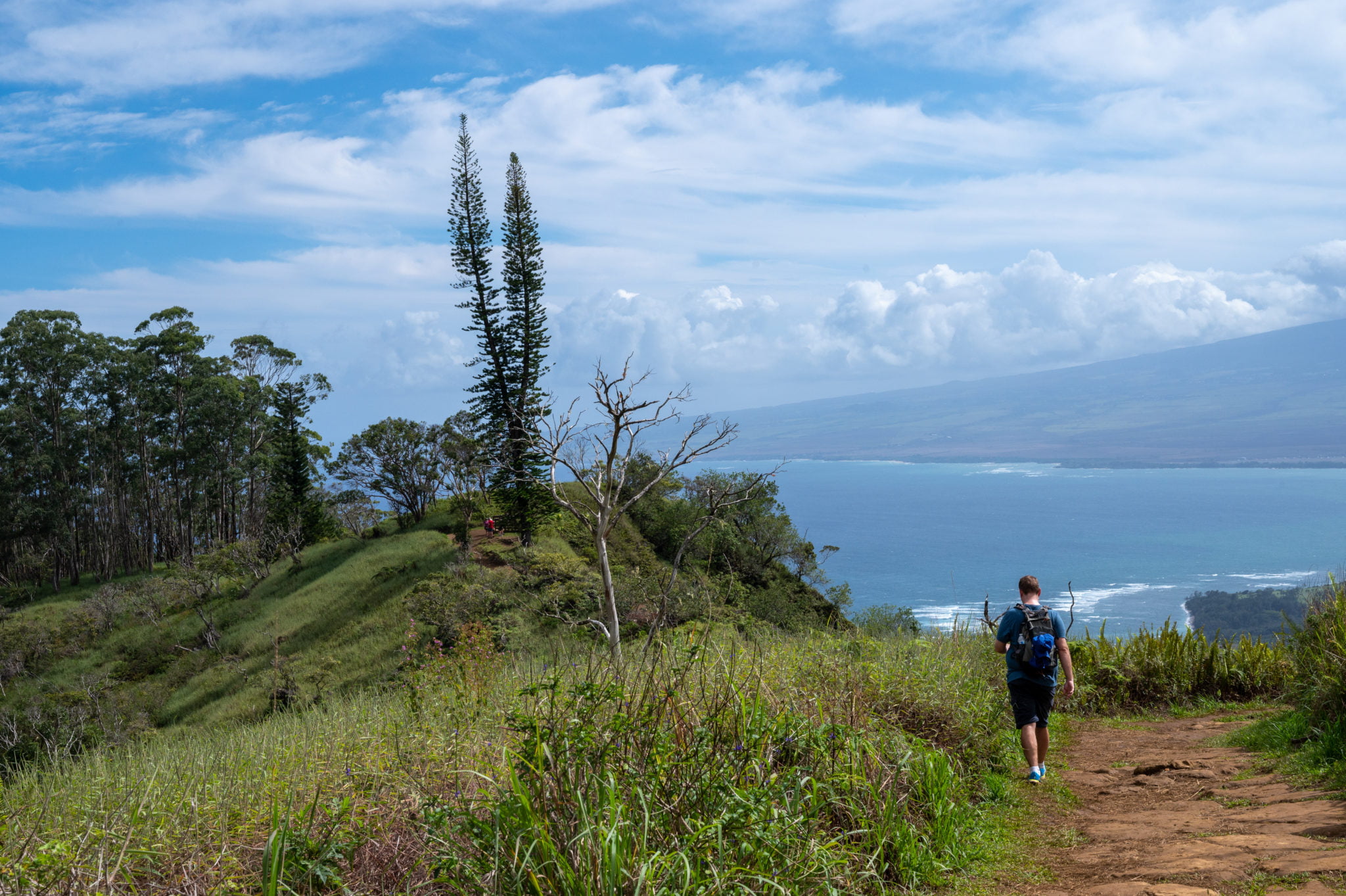 Waihee Ridge Trail: A Local Favorite on Maui - Travelffeine