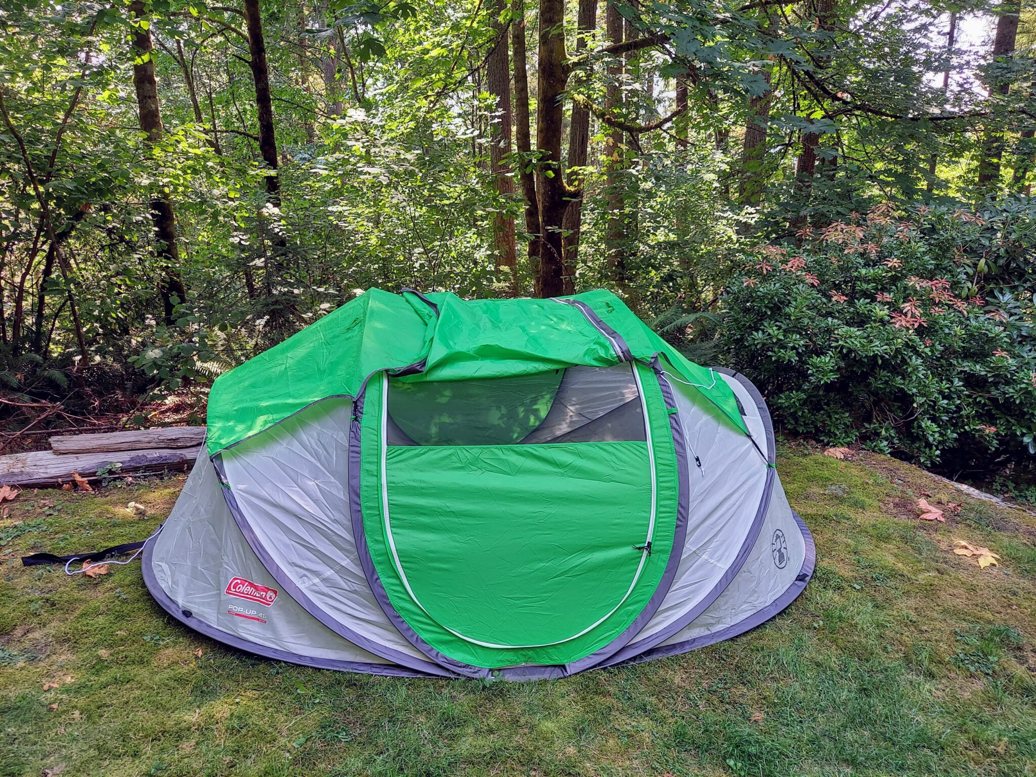 Coleman 4-Person Pop-Up Tent Gear Review - Travelffeine