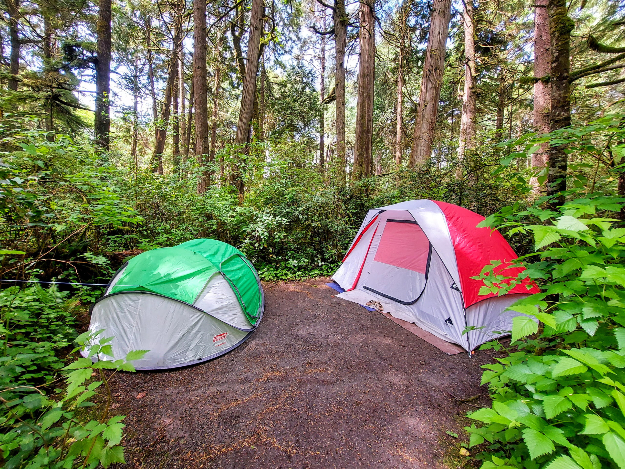 beeld Kalksteen uitzondering Coleman 4-Person Pop-Up Tent Gear Review - Travelffeine