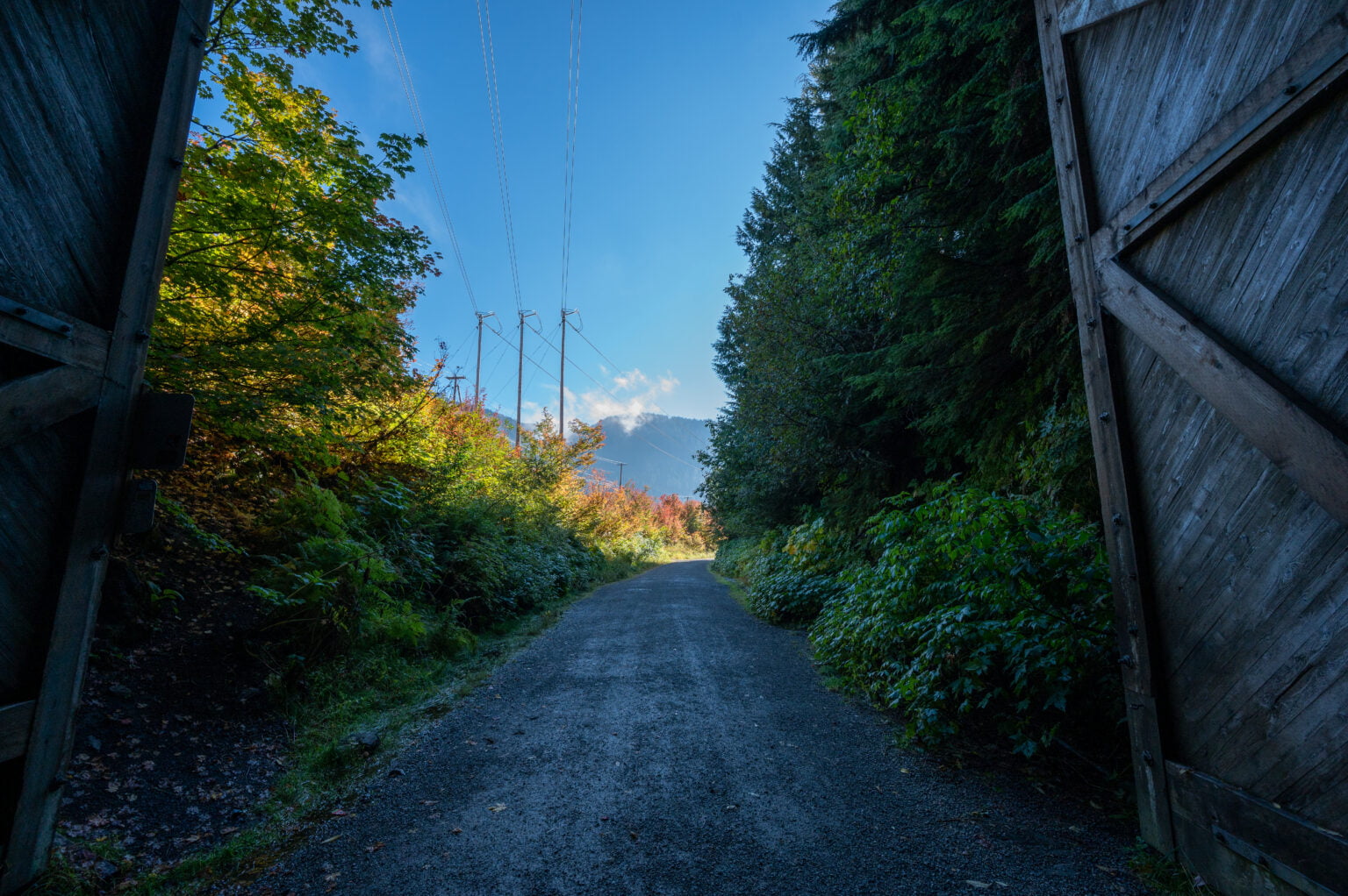 The Historic Snoqualmie Tunnel: A Spooky Adventure! - Travelffeine