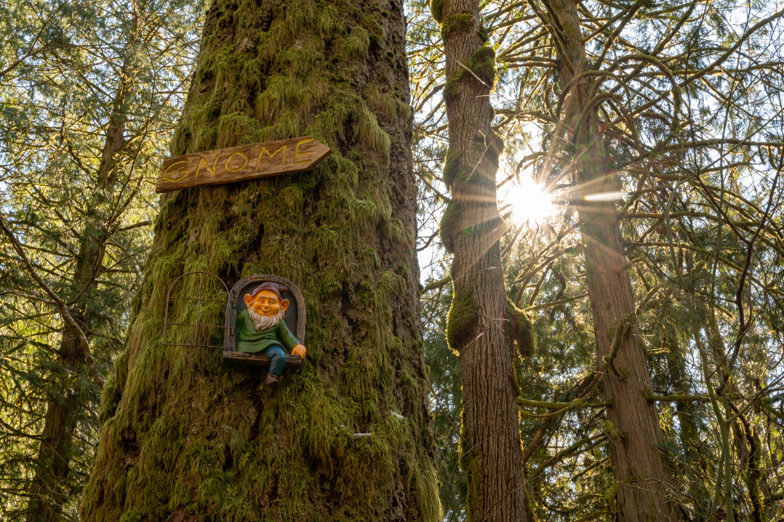 New Gnome Trail Entrance Sign